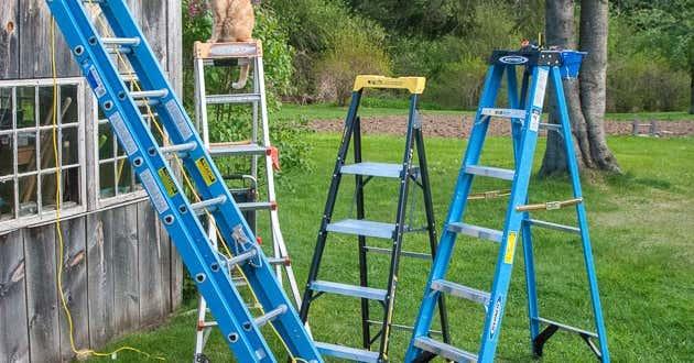 The Best Ladders | Reviews by Wirecutter