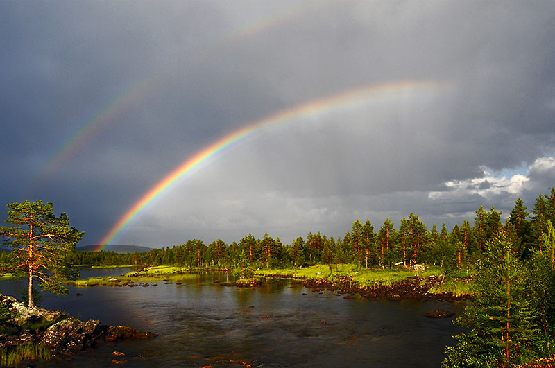 File:Rainbow 02.jpg - Wikimedia Commons