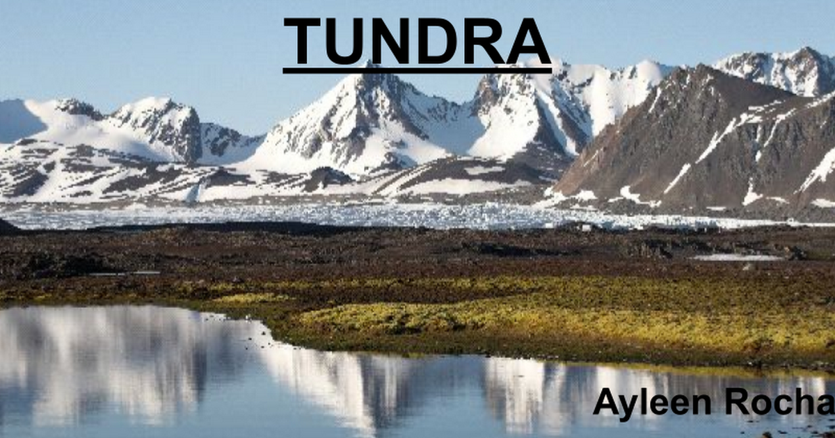 Gambar Bioma Tundra Ppt Google Drive Gambar Ekosistem 