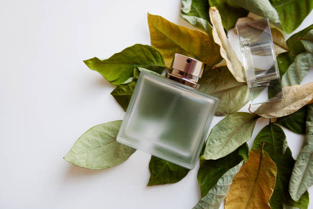 Glass perfume bottle with green and yellow leaves Rectangular glass perfume bottle with dry green and yellow leaves on white background perfume bottle stock pictures, royalty-free photos & images