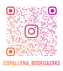 C:\Users\Usuario\OneDrive\Escritorio\Instagram QR CEPYME.png
