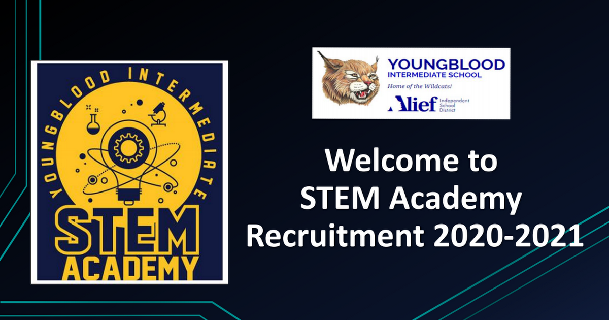 STEMAcademyDigitalRecruitment20202021.pdf