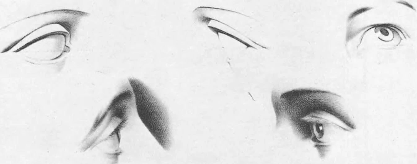 D:\0 wd yedek\acr yedek\1 film indirme\çizim_golovy_cheloveka.22x_files\image74.jpg