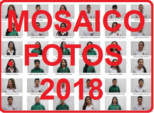 Mosaico fotos estudiantes 2018 - colegio Manuel J.