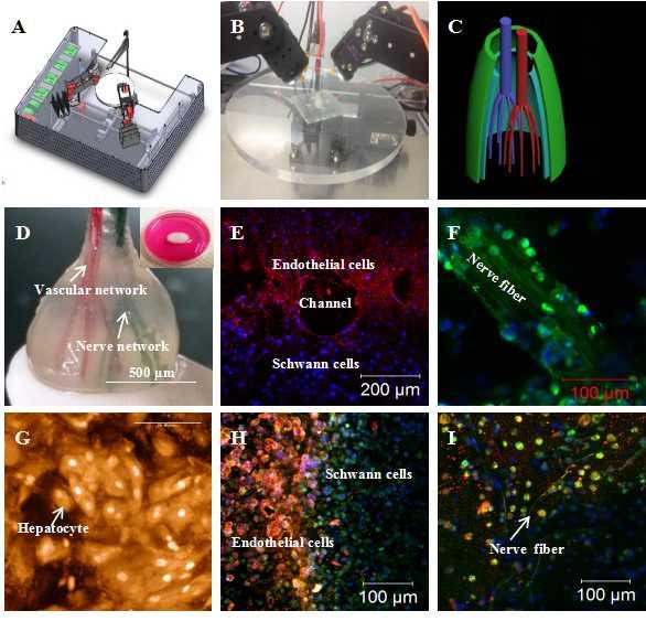 Figure 71