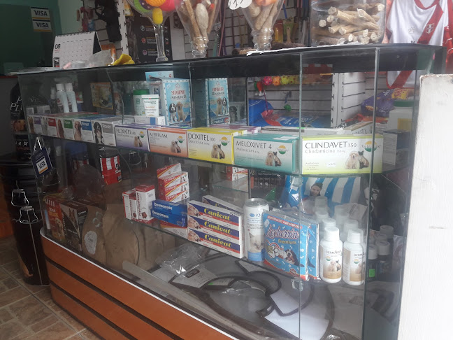 Clinica Veterinaria Grandes Mascotas - Lima