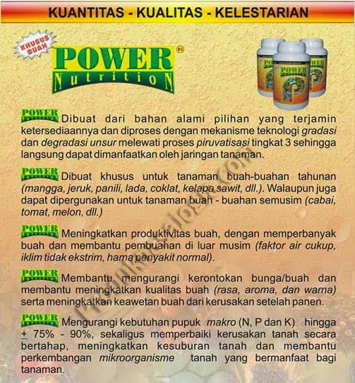 Power Nutrition