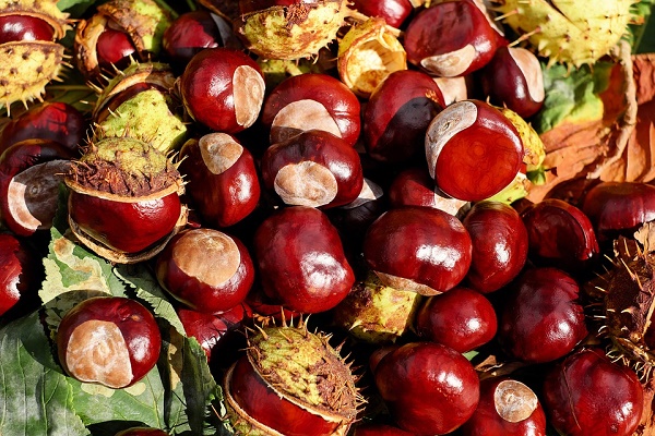 Hạt dinh dưỡng ăn thay cơm