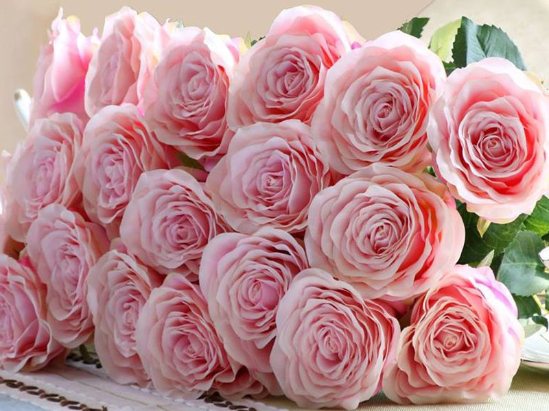 Chọn số nào khi chiêm bao thấy những đoá hoa hồng