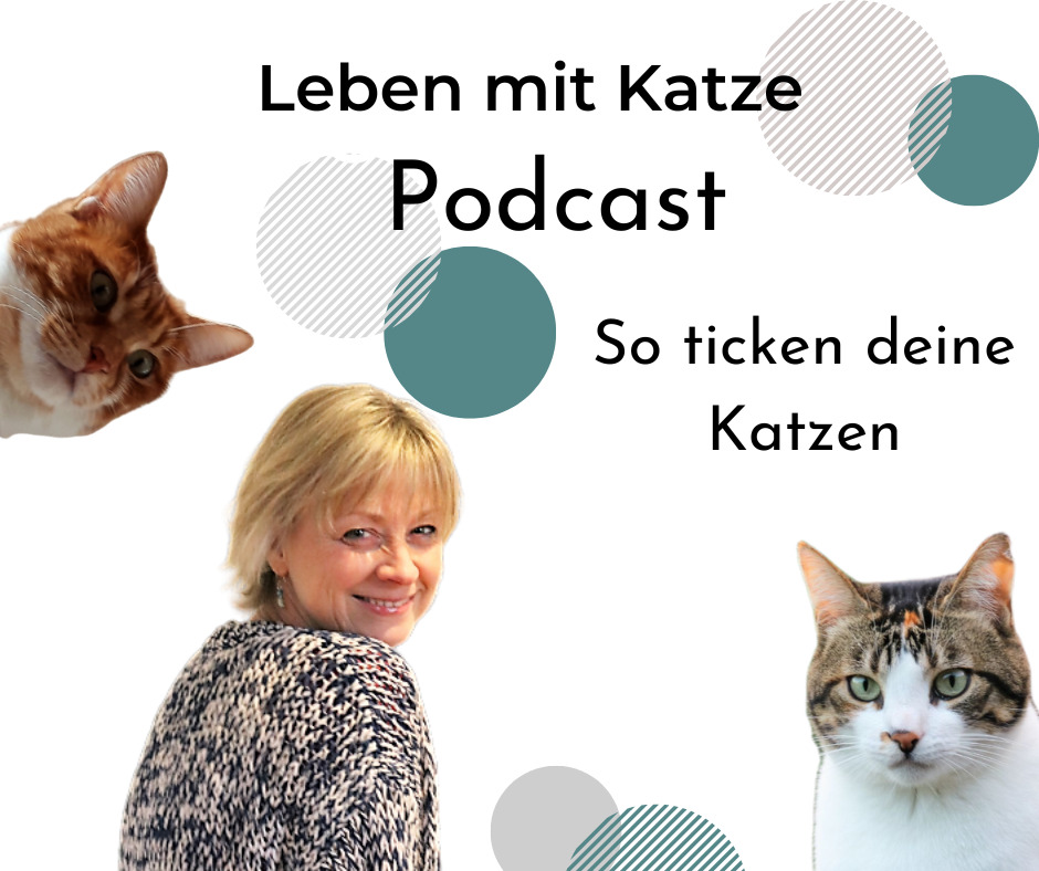 Leben mit Katze Podcast Katzenbeziehungen
