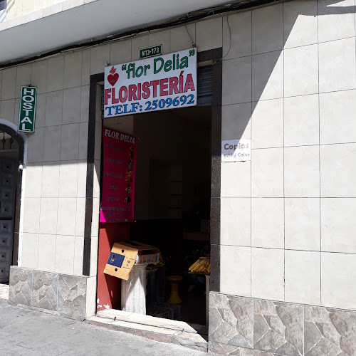 Flor Delia - Quito