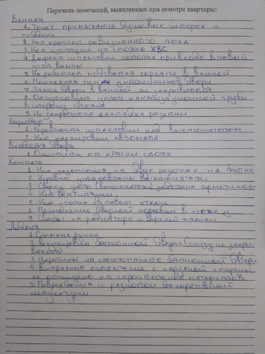 Вот так выглядят перечень из 24 замечаний, выявленных при осмотре квартиры