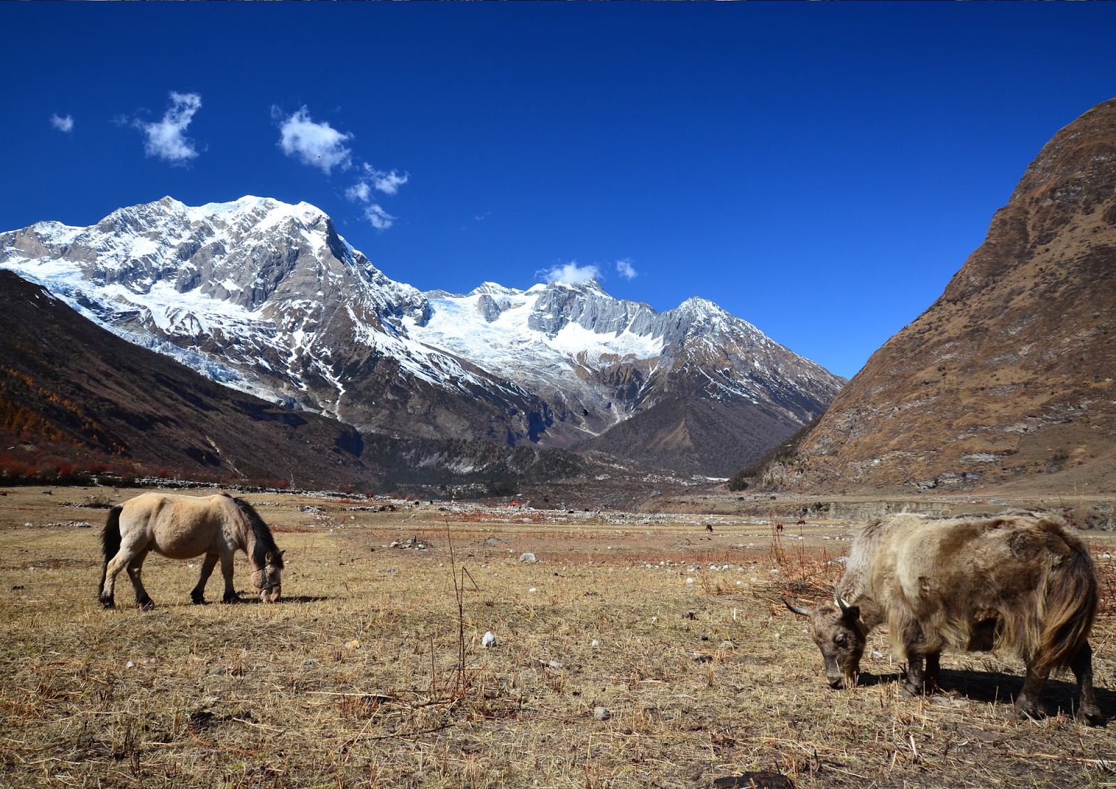 manaslu solo trek