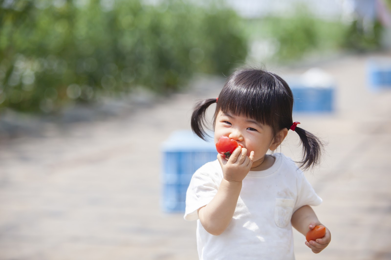 1歳児の知育遊びで育まれること