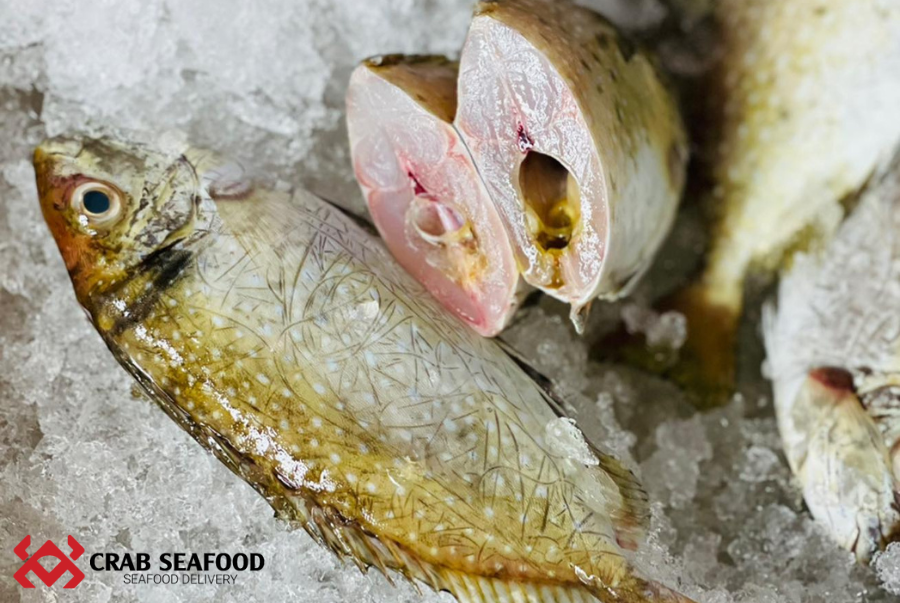 Tìm hiểu về cá tuyết và các món ngon từ cá tuyết - hải sản ghẹ
