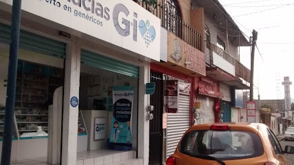 Farmacias Gi, , Fraccionamiento Santa Inés