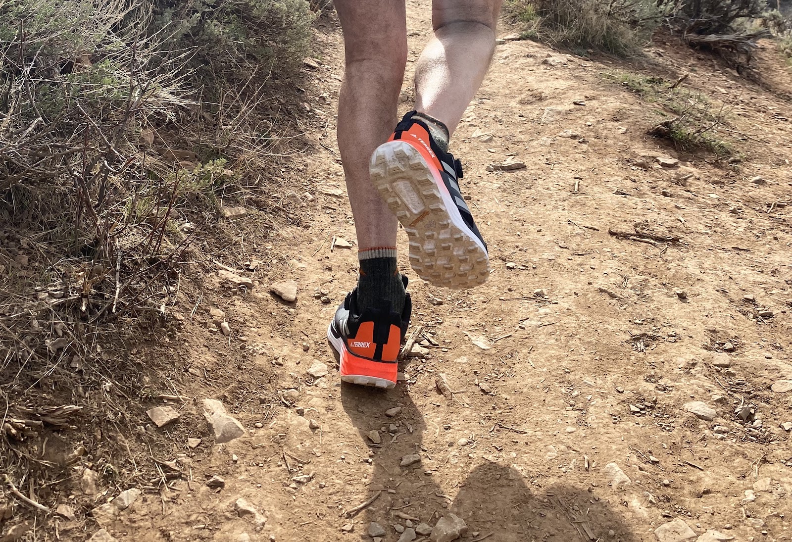 Road Trail Run: adidas Terrex Two BOA Review: Dialed In, Comfortable, and  Versatile