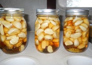 Công dụng chống lão hóa của tỏi ngâm rượu