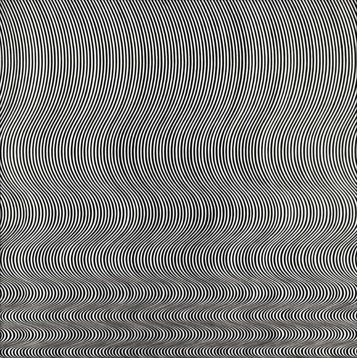 bridget riley op art fall.jpfg