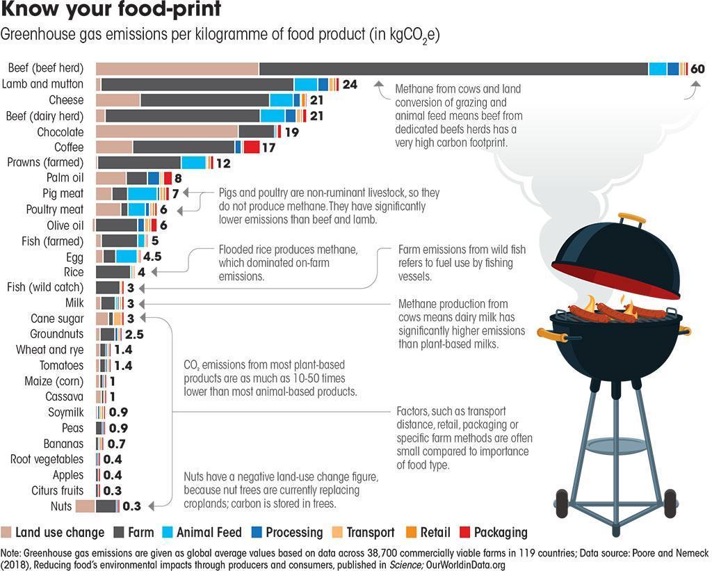 Eine Grafik zeigt einen Griller auf dem Fleisch brät, und daneben die Treibhausgas-Emissionen aus verschiedenen Lebensmitteln wie Rind, Käse, Kaffee und Nüsse. Quelle: https://ourworldindata.org/food-choice-vs-eating-local