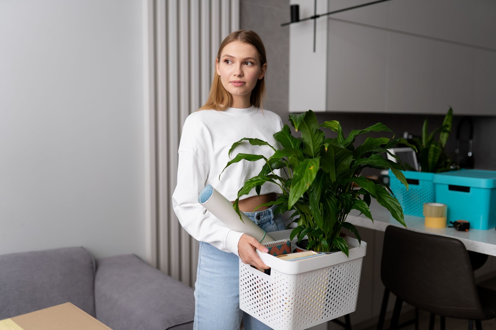 can movers move plants