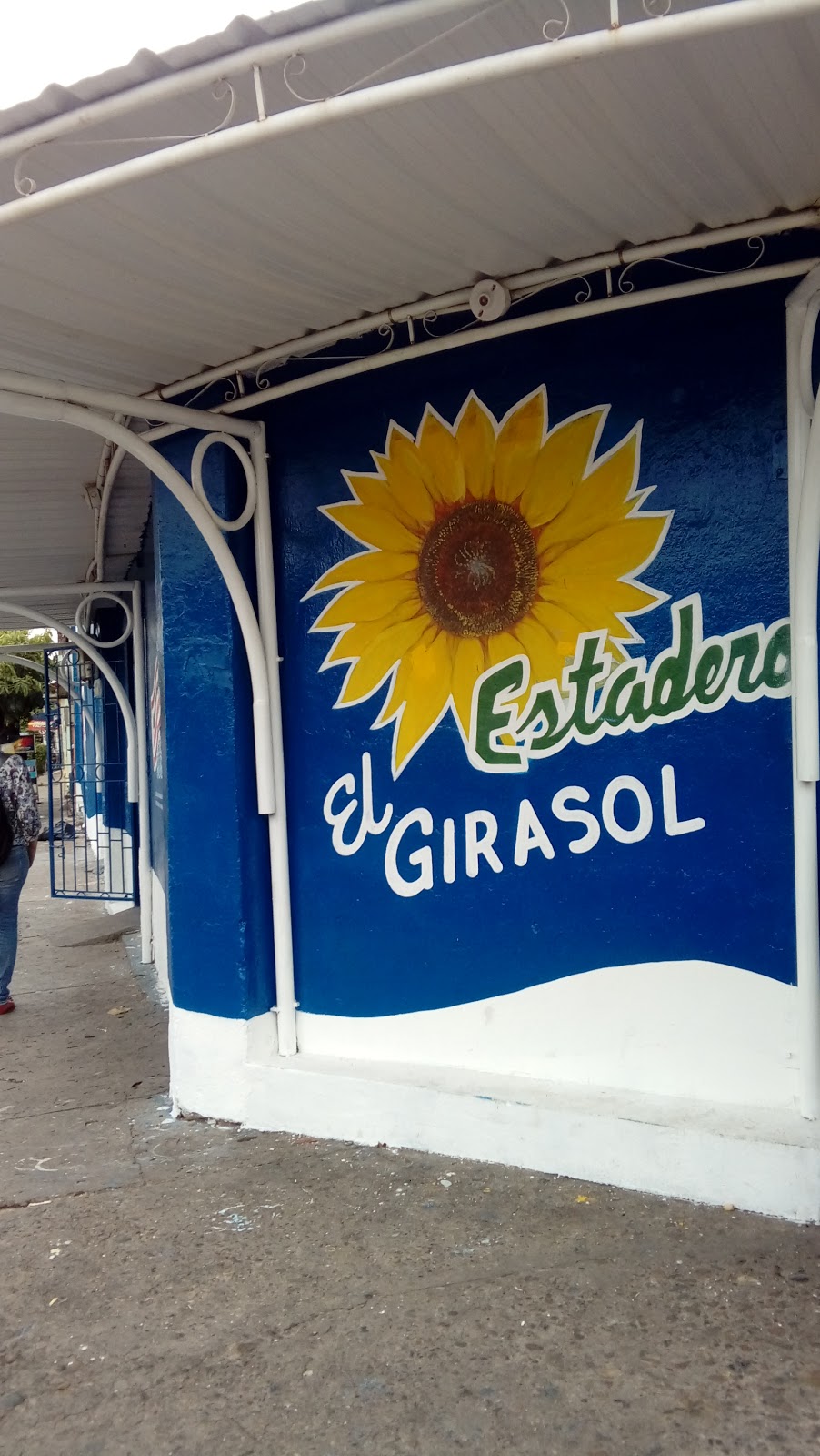 Girasol