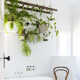 Green Bathroom Ideas / 18 Relaxing And Fresh Green Bathroom Designs Home Design Lover / Grassy green gives you the option to have a little more freedom in your design, says wax.