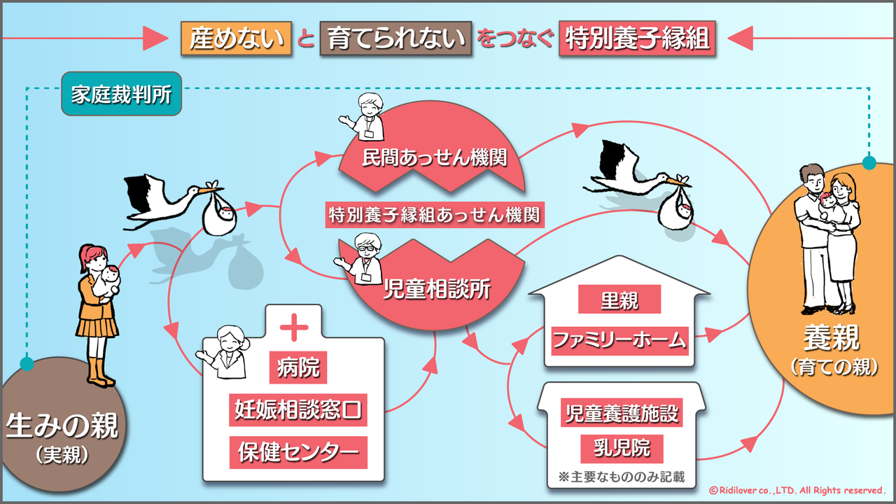 特別養子縁組 特別養子縁組 喪失からはじまる三方良しの輪 リディラバジャーナル
