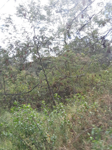 VENTA DE TERRENOS QUITO - MIRAVALLE LA ESPERANZA - Sur Oriente Quito - Agencia inmobiliaria