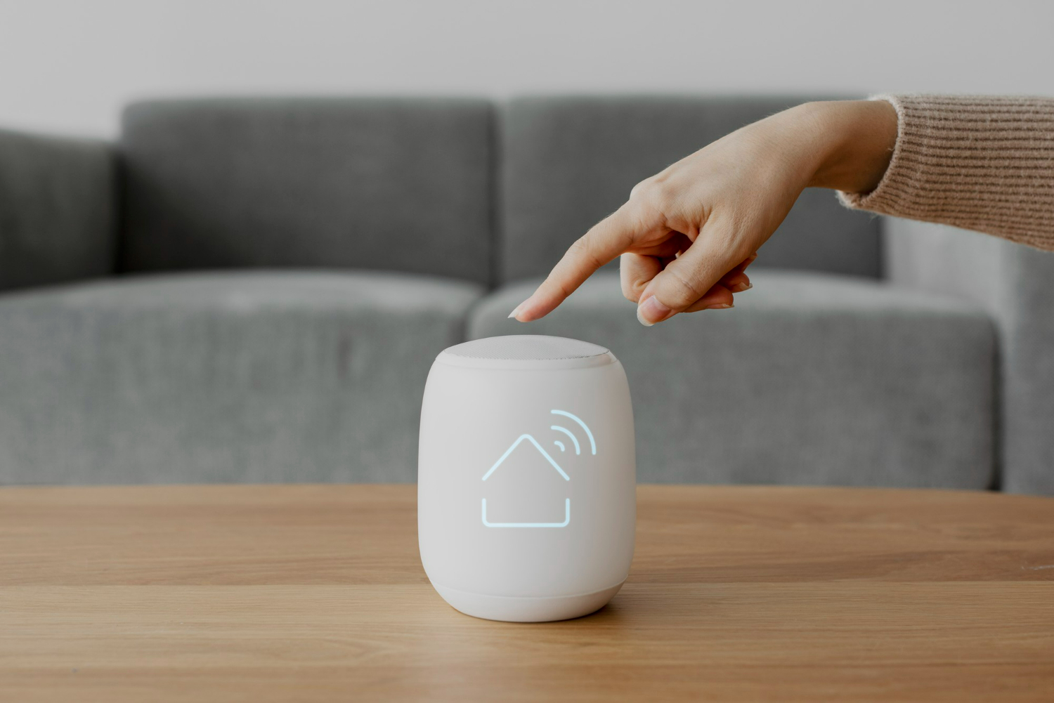 Voice assistant