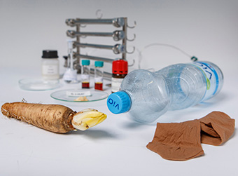 Ob Strumpf oder Plastikflasche - Wissenschaftler der Universität Hohenheim ebnen den Weg für Qualitätsprodukte aus Chicorée-Abfällen (Foto: Universität Hohenheim) Ob Strumpf oder Plastikflasche - Wissenschaftler der Universität Hohenheim ebnen den Weg für Qualitätsprodukte aus Chicorée-Abfällen (Foto: Universität Hohenheim)
