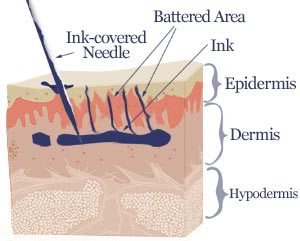 tattoo-in-skin-cross-section2