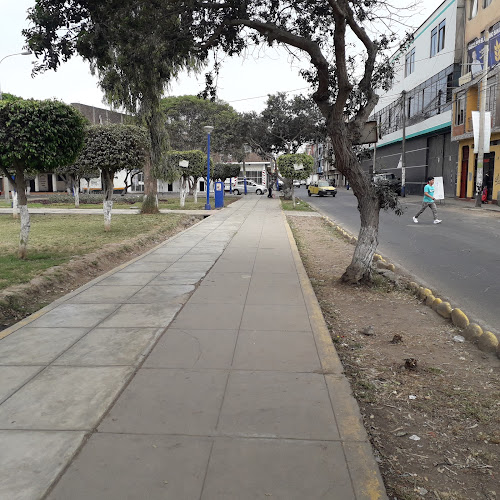 Caporales Centralistas San Miguel Filial Lima - Escuela de danza