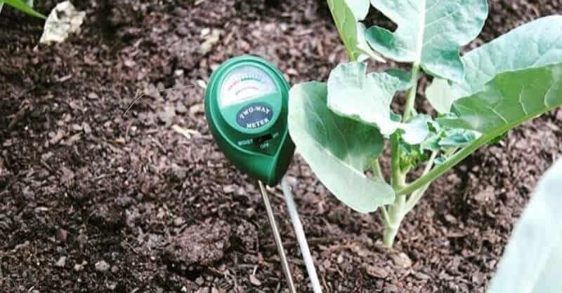 Measuring the Degree of Soil pH with a Soil Moisture Meters