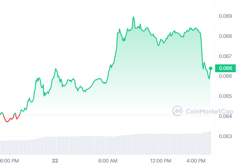 DOGE price impacted by Musk-Zuckerberg cage fight challenge - 1