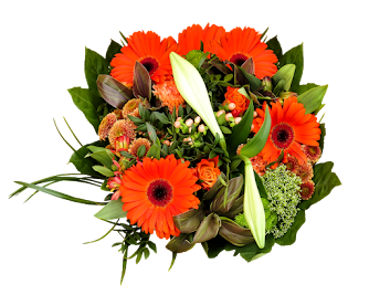C:\Users\DOM\Downloads\birthday-bouquet-1499170_1920.png