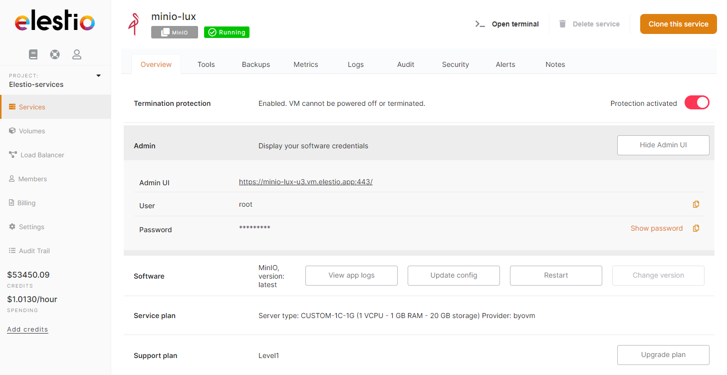 Elestio dashboard > Services > Overview of MinIO instance