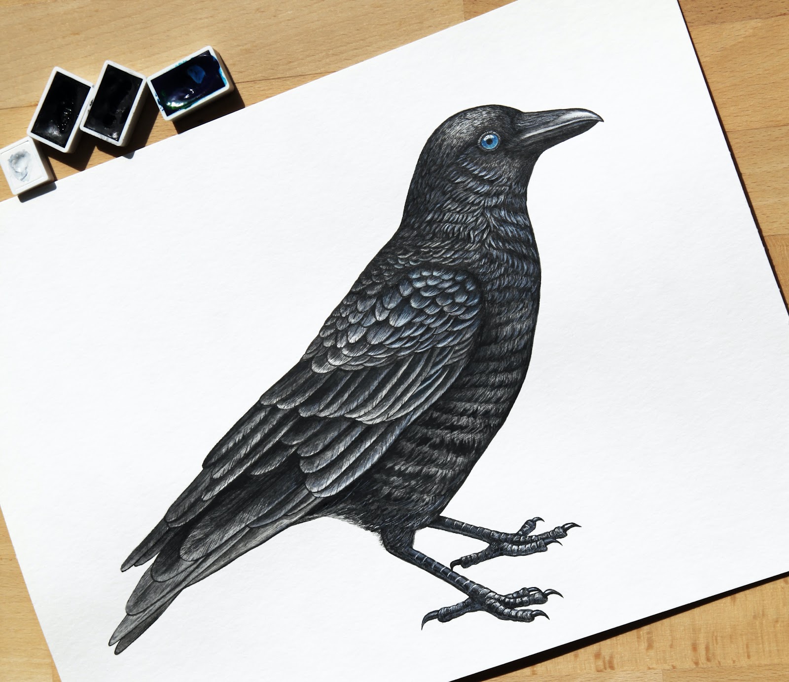 Bird drawing and painting workshop