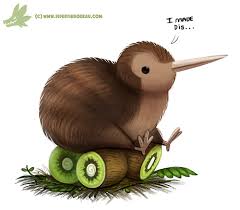 Image result for kiwi bird