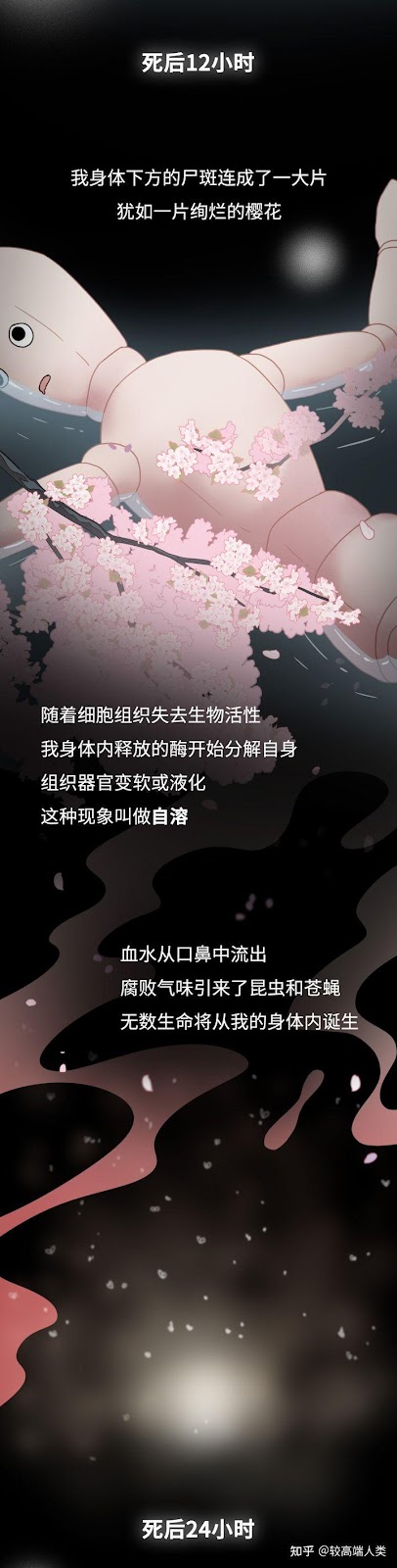 图片[7]-Quá trình phân huỷ của tử thi xảy ra như thế nào? ( Phần 1/2 )-Weibo24h.com