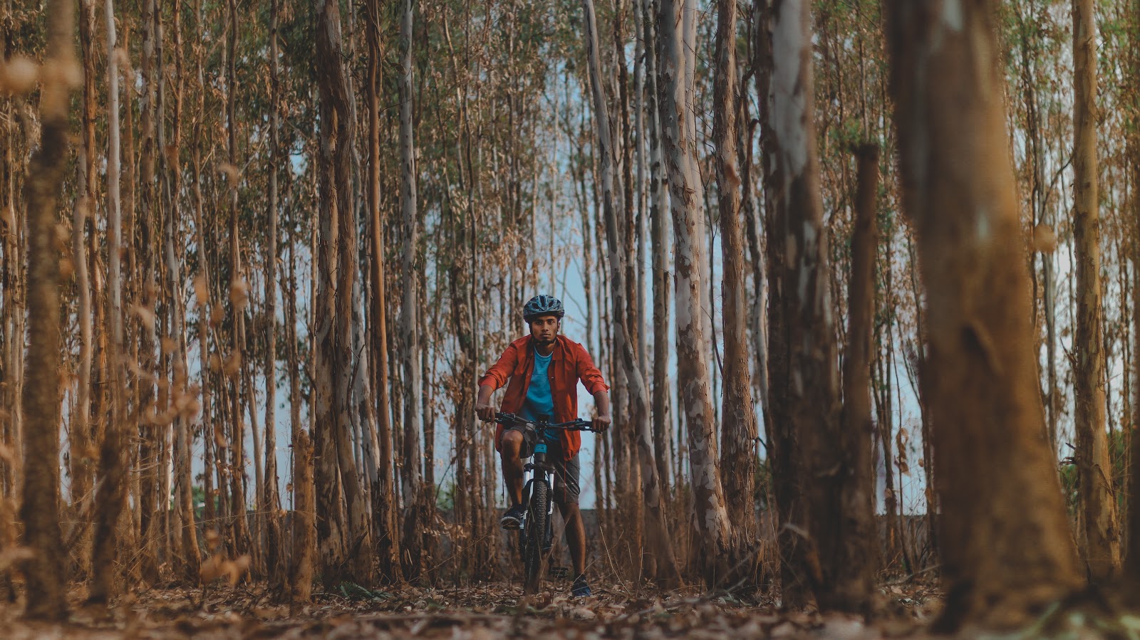 The turahalli forest cycling route. Turahalli trekking. Check out coppernicus.com for more information