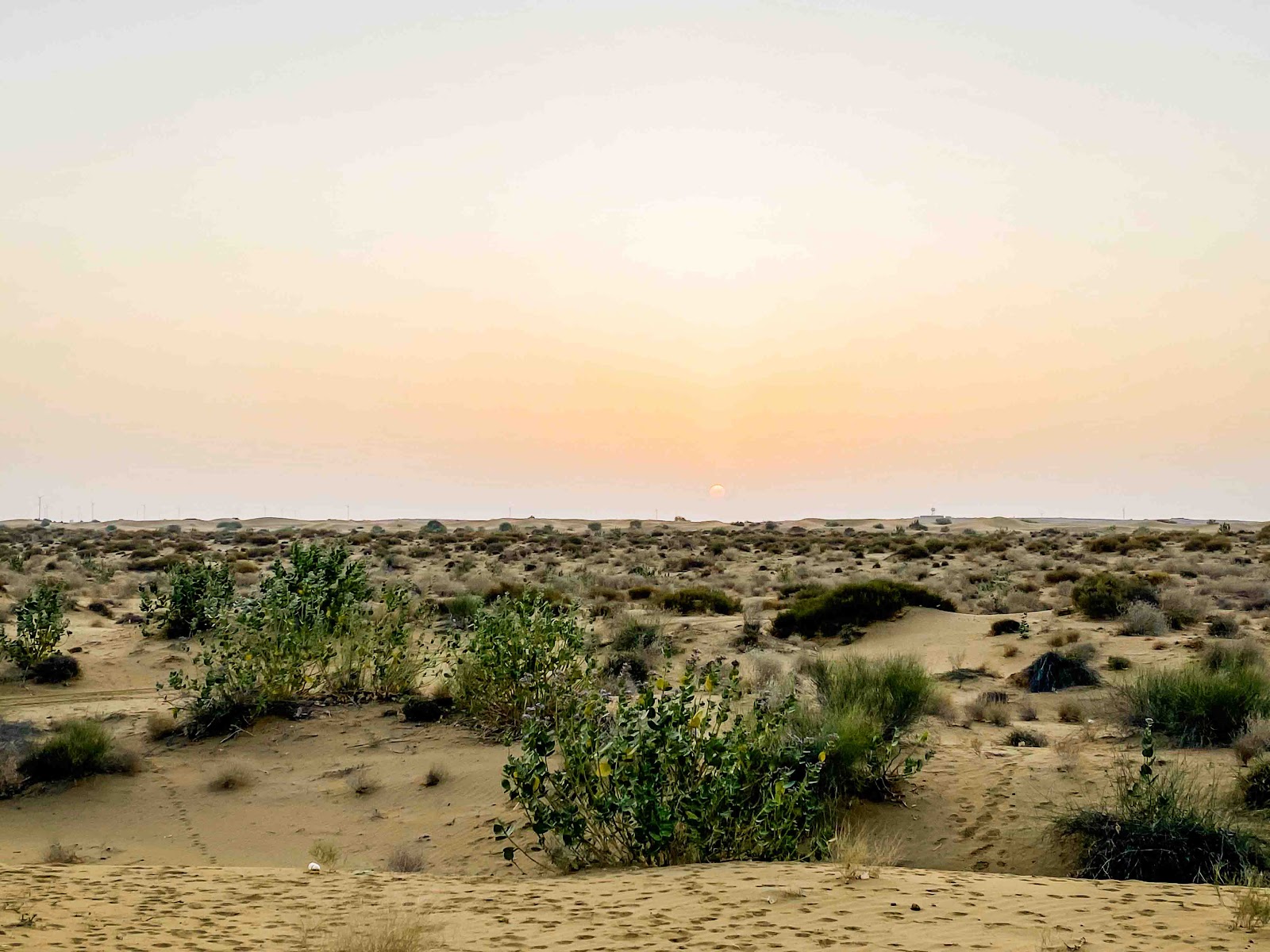 【印度賈沙梅爾】黃金之城 Jaisalmer騎駱駝、睡沙漠體驗兩天一夜，交通、店家推薦、費用全攻略 一覽滿天星斗絕無遺憾｜三八旅客