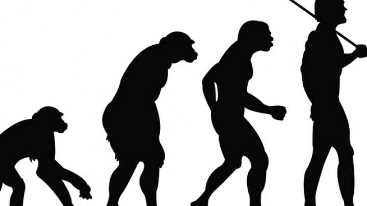 Interbreeding Among Early Hominins | IFLScience