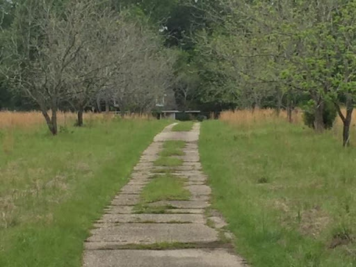 abandoned road