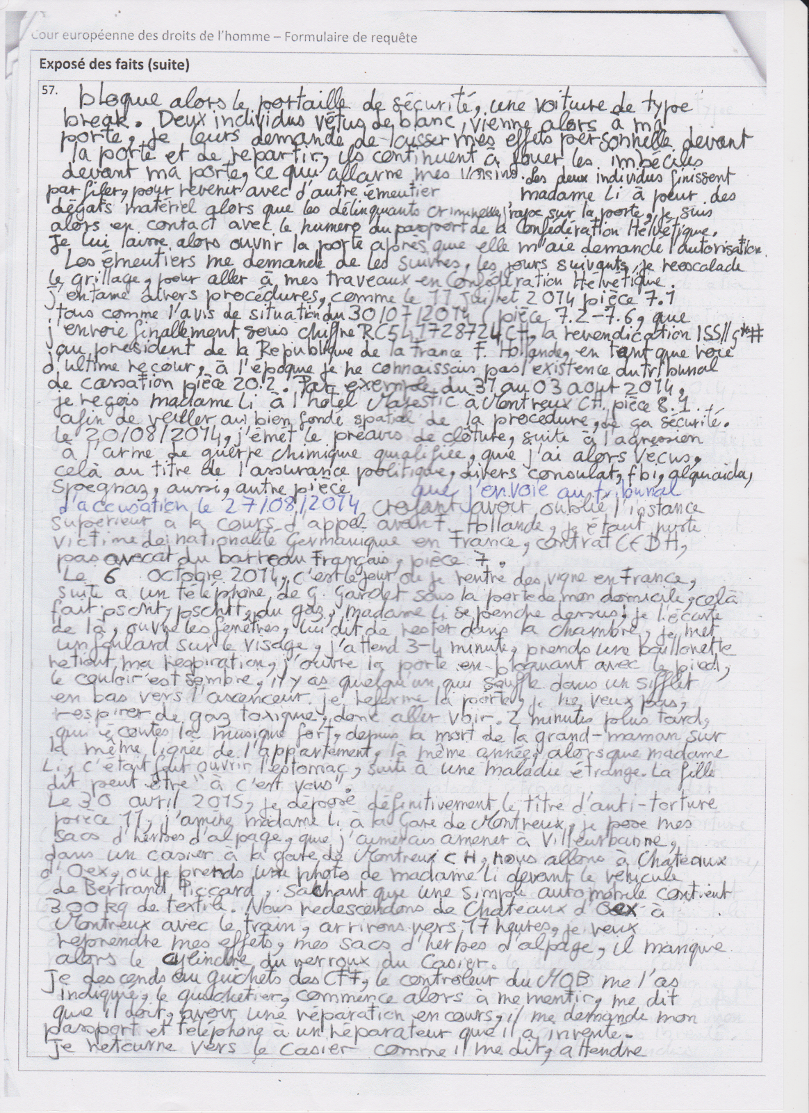 page 3 formullaire CEDH 994 16 WEBER.png