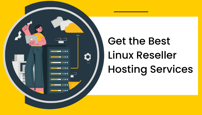 Get Cheap Linux Reseller Hosting Services for Your Business