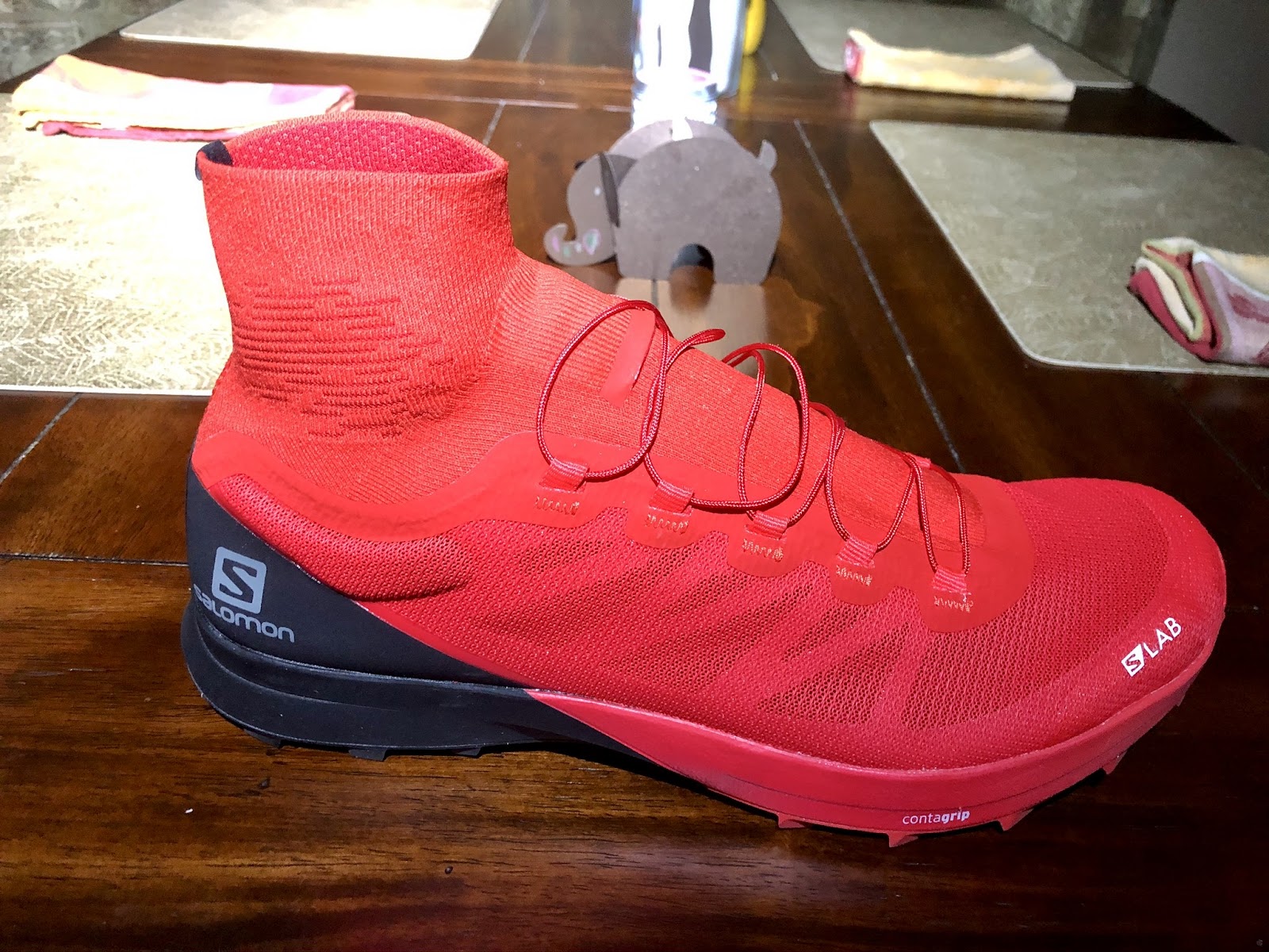 salomon s lab sense pro