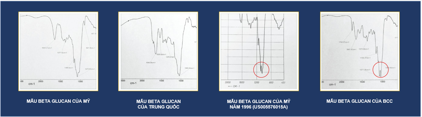 beta-glucan-cua-bcc-giong-beta-glucan-cua-my