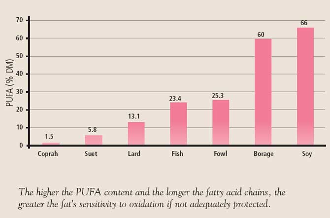 Comparison of the quantity of polyunsaturated fatty acids (PUFA) in different oils and fats