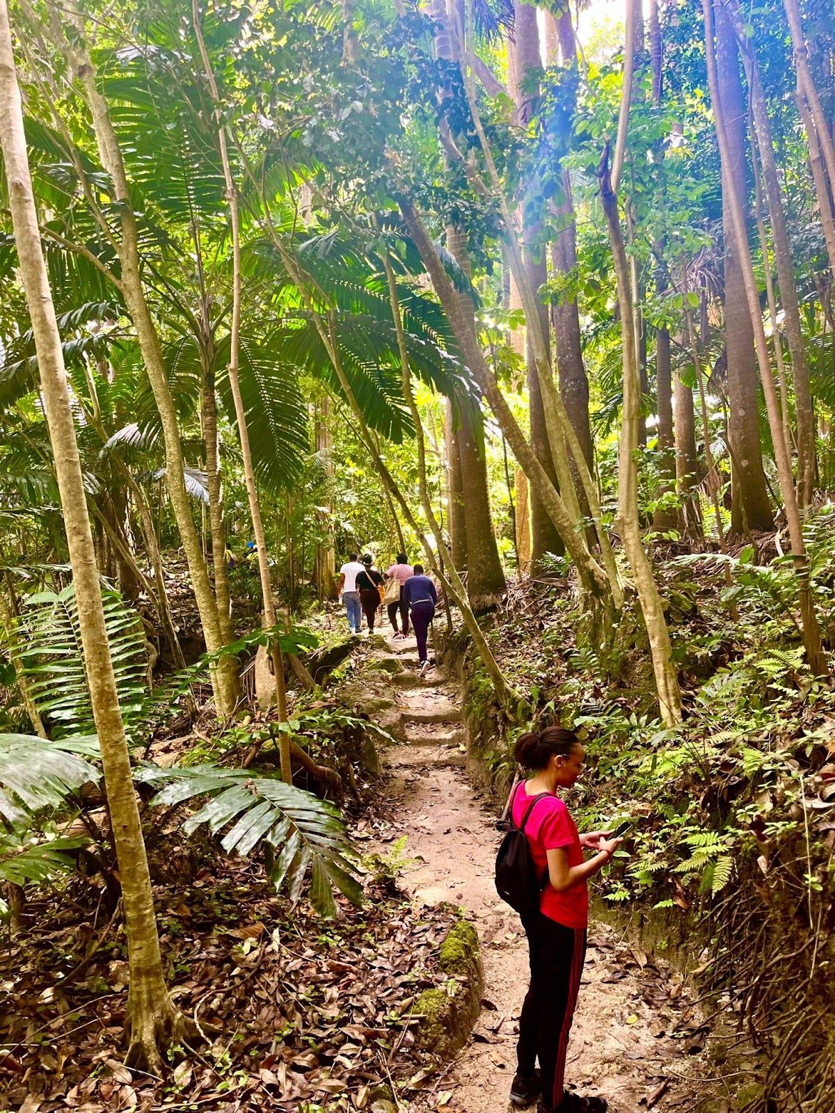 A group of people walking on a trail in a forest

Description automatically generated with low confidence